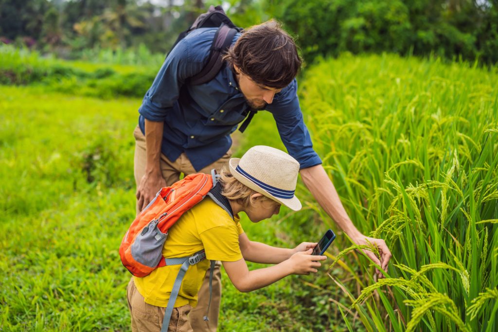Ein Mann und ein Junge entdecken Pflanzen und Insekten über eine App.