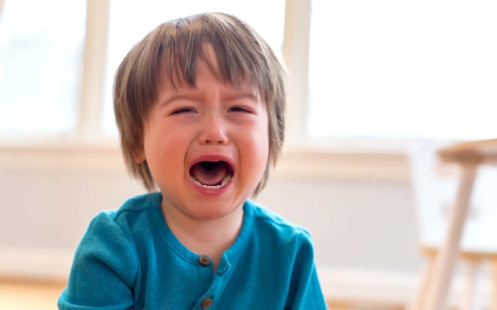 Ein Kleinkind in der Autonomiephase weint und schreit.