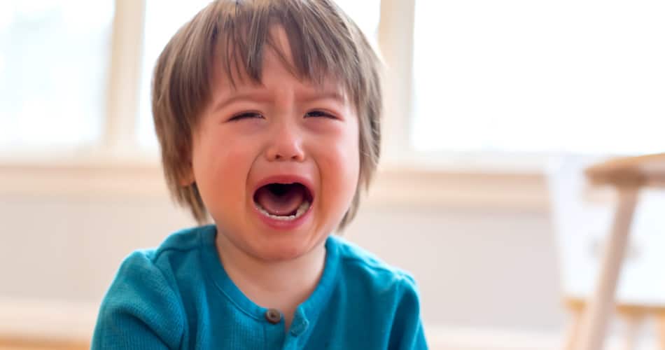 Ein Kleinkind in der Autonomiephase weint und schreit.