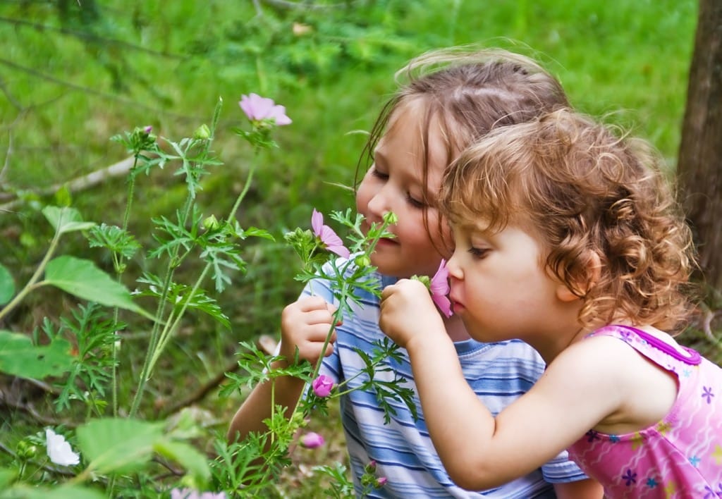 Zwei Mädchen riechen an einer Blume, Titelbild zu Beitrag über giftige Pflanzen für Kinder.
